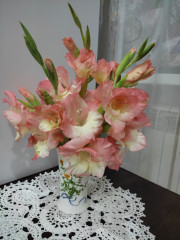 IMG_20230811_024916.jpg