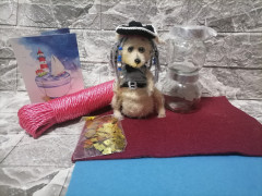 IMG_20230905_155905.jpg