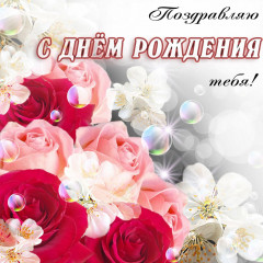 IMG_1152.jpeg