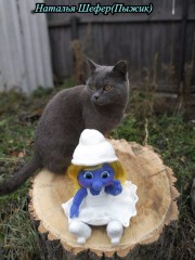 Смурфетта мк IMG_20211101_144720.jpg