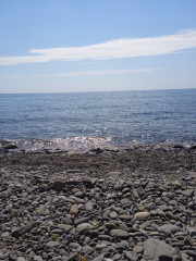 IMG_20230824_104452.jpg