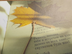 1698041798530.jpg