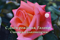 С-Др-Галина-открытка.jpg