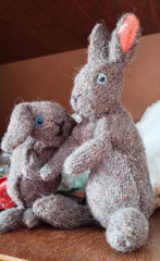 K8JcB3Gf1Kk.jpg (231.25 КБ) 8045 просмотров Побольше мк дикий кролик и поменьше Голландский вроде.