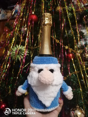 IMG_20211226_192945.jpg (247.86 КБ) 7625 просмотров А мы даже шампанское наряжаем на новый год