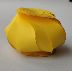 upload_2023_12_11_14_19_24_095.jpg