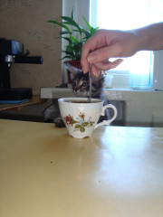 DSC03715.JPG