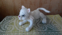 IMG_20200502_174014.jpg
