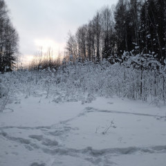 IMG_20231217_140753_820.jpg