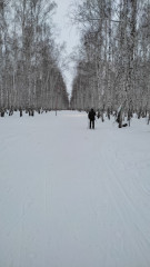 IMG_20231217_155408.jpg