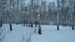 IMG_20231217_155923.jpg