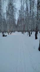 IMG_20231217_160616.jpg
