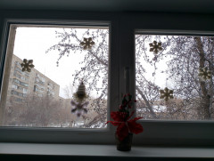 Подъездное окно