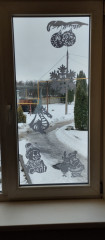 IMG_20231220_100517.jpg