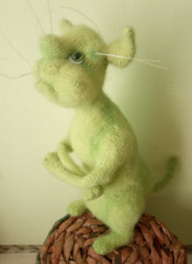 Кот лайм 1.jpg