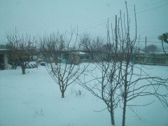 100_1012.JPG