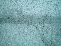 100_1016.JPG