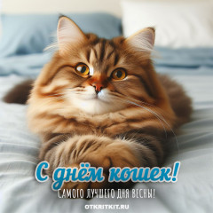 7cf5a4dd070cd43a400592e5ed0403ba.jpg