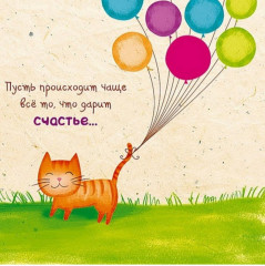 IMG_2798.jpeg