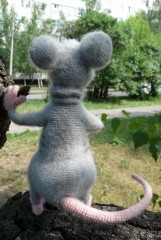Крыс Ким____.JPG