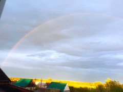 1715140481043.jpg