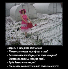 снег.jpg