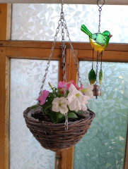 IMG_20240605_195440.jpg