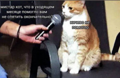 IMG_3106.jpeg