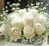 IMG_2105.jpeg