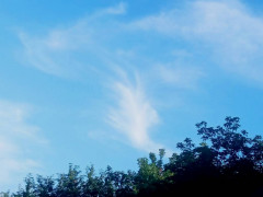 1720028202279.jpg