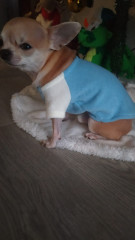 IMG-20231219-WA0004.jpg