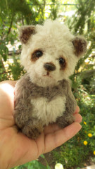 20140825_074827.jpg
