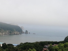 IMG_20240720_165633.jpg