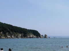 IMG_20240720_135339.jpg