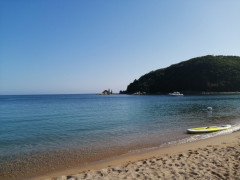 IMG_20240813_165822.jpg
