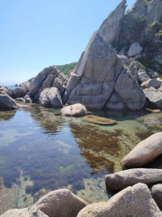 IMG-20240813-WA0107.jpg