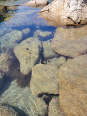IMG-20240813-WA0114.jpg