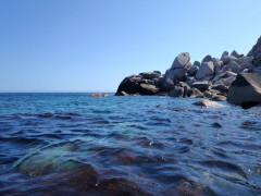 IMG-20240813-WA0091.jpg