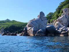 IMG-20240813-WA0081.jpg