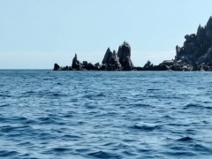 IMG-20240813-WA0119.jpg