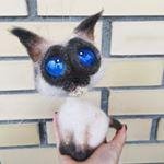 КОТЭ.jpg