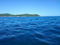 IMG-20240813-WA0079.jpg