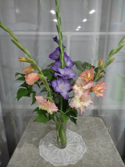 IMG_20240821_004410.jpg