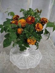 IMG_20240821_004542.jpg