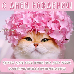 IMG_2376.jpeg