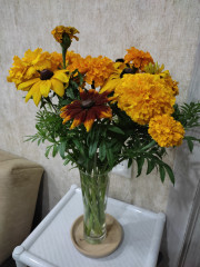 IMG_20240902_231448.jpg