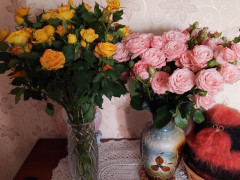 20240902_180443.jpg