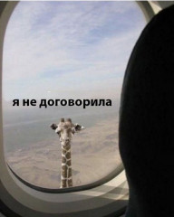 f1458ff0-fb9f-4872-81d7-e3eaa166b480.jpeg