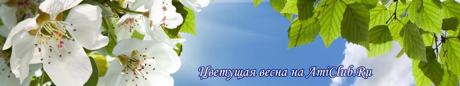 Список форумов