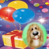 Аватара пользователя